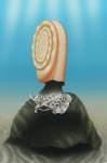 Реконструкция Euomphalus pirochiensis