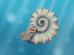 Temnocheiloides acanthicus