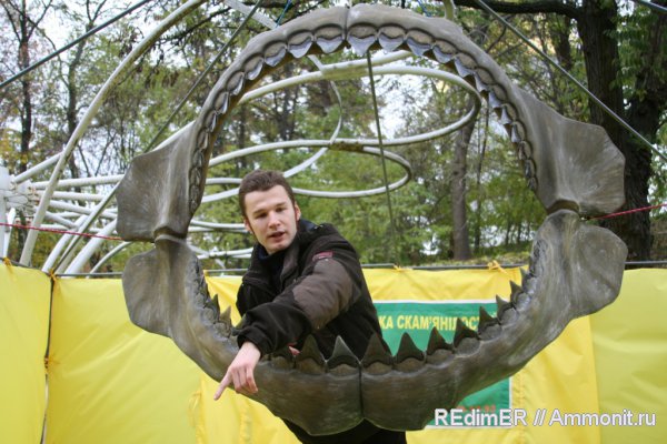 мегалодон, Megalodon, челюсти