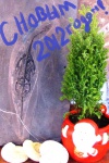 С Новым 2012 годом!