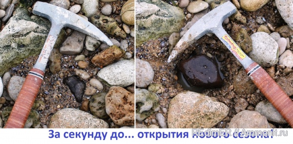 неоген, киты, Украина, Cetotherium, сармат, Азовское море
