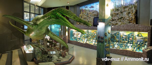 юра, музеи, плиозавры, Самара, Jurassic