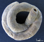 Полихеты Glomerula gordialis (von Schlotheim, 1820)