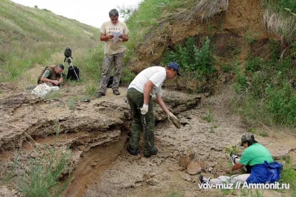 триас, Самарская область, лабиринтодонты, Борский район, Triassic