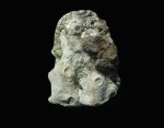 Coeloptychium