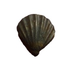 Пиритовое ядро двустворки Radulopecten