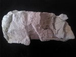 экспедиция в Гродно,(Западная Беларусь)