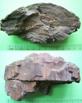 Лигнитизированная древесина