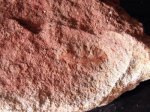 Находки из перми Нижегородской области
