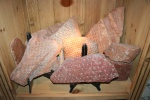 carboniferous 5.1