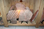 carboniferous 4.1