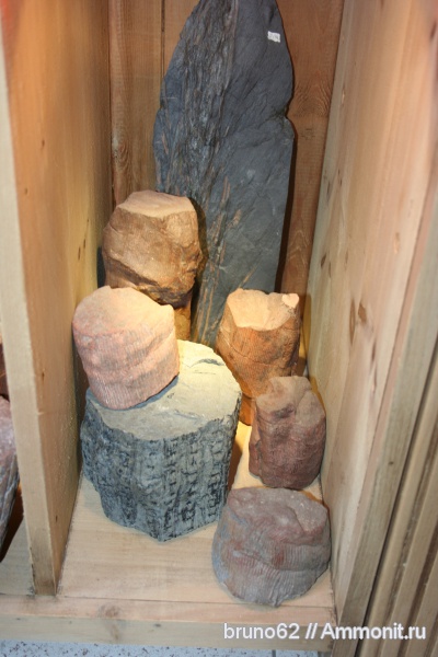 Carboniferous, Bolsovian, France, plants from Liévin aera