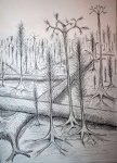 Reconstitution and some personnal drawings of carboniferous flora from Liévin bassin