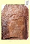 Calamites node