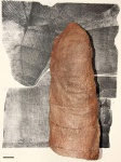 Calamites node