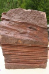 Ptychopteris