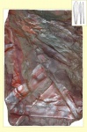 Cordaites leaf