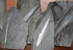 Cordaites leaf