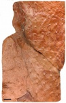 Asolanus camptotaeniae