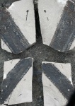 omphalophloios