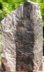omphalophoios