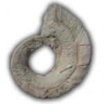 Euomphalus