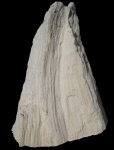 Chaetetes