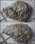 Конкреция
