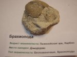 Домодедово