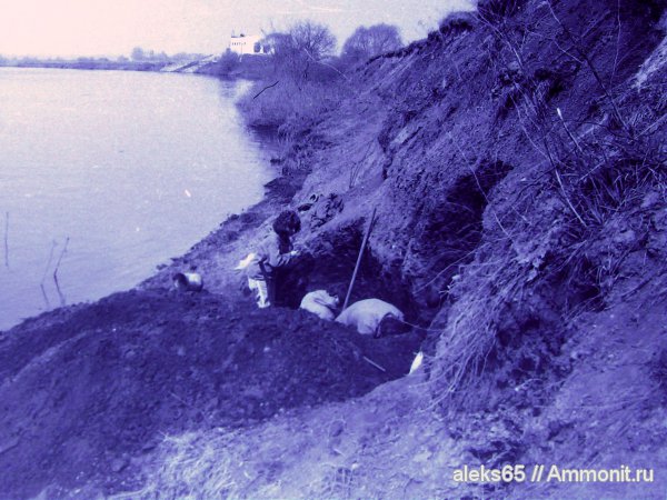 Бронницы, Марково