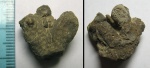 Thamnasteria sp. Thamnasteria sp.