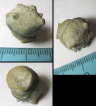 ордовикская мшанка Trepostomata с непонятными выростами ордовикская мшанка Trepostomata с непонятными выростами