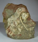 Плитка с Echinoencrinites Плитка с Echinoencrinites