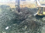 Добыча древесного угля в Ильницком карьере, Закарпатской области