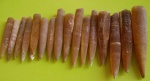 Belemnitida