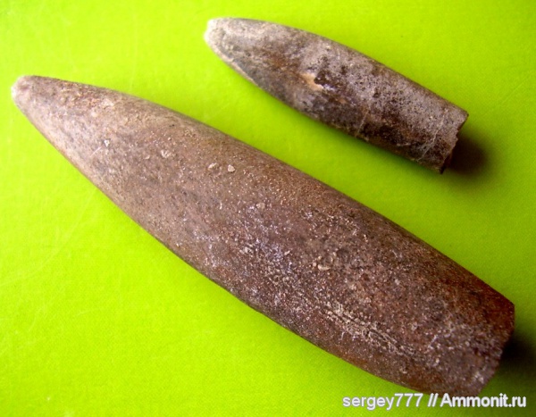 белемниты, юрский период, ростры, Приборжавский карьер, Jurassic, belemnites