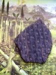 Sigillaria mamillaris