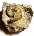 ESERICERAS