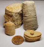 Фрагменты Orthoceras .