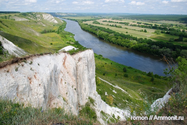 мел, водоросли, кокколитофориды, Cretaceous