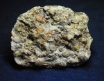 Девонские Ammonoidea? Семилуки.