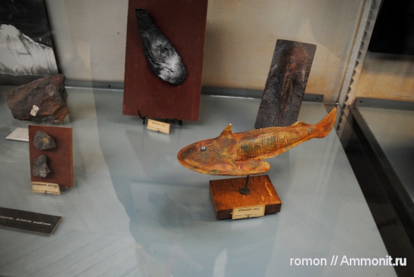 силур, Silurian, Agnatha, Cephalaspis