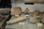 Glyptodon