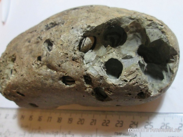 мел, Cretaceous