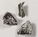 Зуб Polyrhizodus из Домодедово