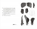 Trionyx khosatzkyi из сармата