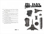Cetotherium maicopicum
