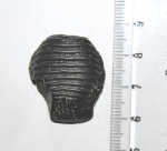 Ptychodus