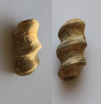 Nеrinellidae