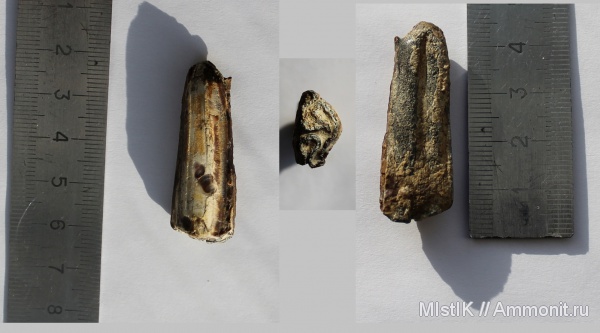 зубы, Адыгея, teeth